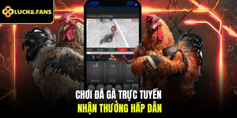 Chơi đá gà trực tuyến nhận thưởng hấp dẫn